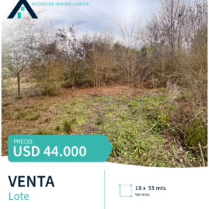LOTE EN VENTA – CARLOS KEEN